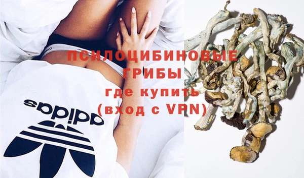 прущие крисы Аркадак