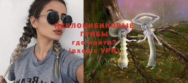хмурый Армянск