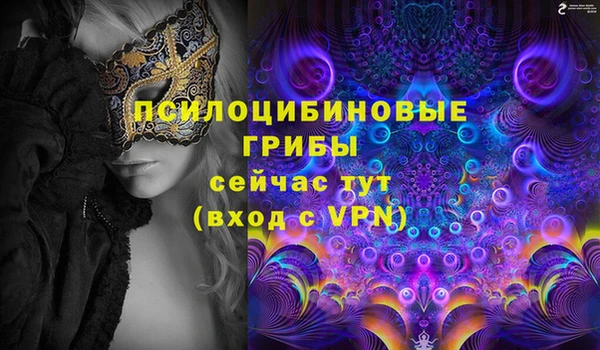 прущий лед Нея